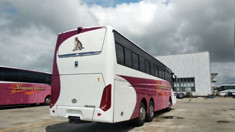55 θέσεις LHD Type Luxury Coaches για τα λεωφορεία της πόλης Καλύτερη επιλογή